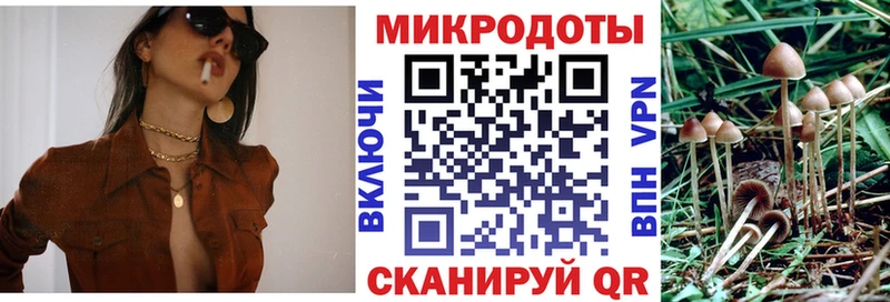 магазин  наркотиков  Кудрово  Псилоцибиновые грибы MAGIC MUSHROOMS 